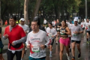 T3683117