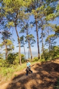 T3705586