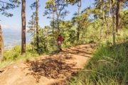 W3704599