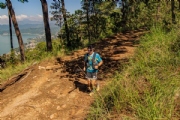 W3705382
