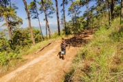 W3705488