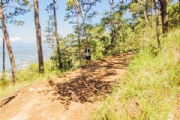 W3705643