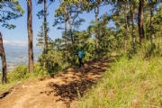 Y3704419