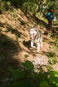 W3699608