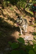 W3699611