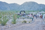 D3718718