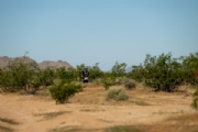 L3727703