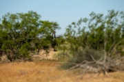 N3727640