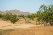 O3727296