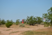 O3727488