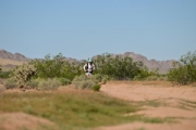 P3727645