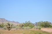R3727269