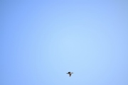 Y3727497
