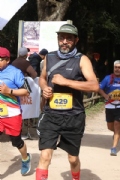 W3706231