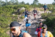 Y3707619