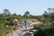 Y3707936