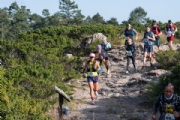 Y3708462