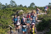 Y3708516