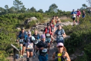 Y3708529