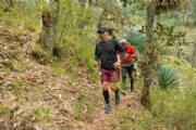 L3708829