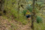 O3709368