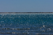 Y3721751