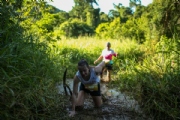Z3157433