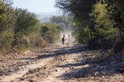 B3739384