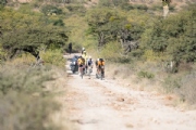 D3736526