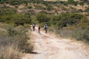 L3735732