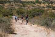 L3736264