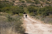 N3736053
