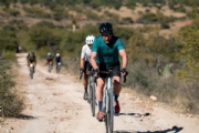 O3735659