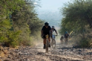 L3734700
