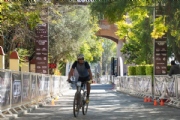 N3733829