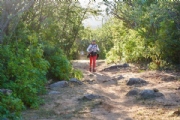 L3745318