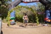 O3745175