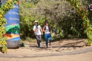 P3743583