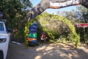 V3744356