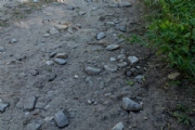 P3753494