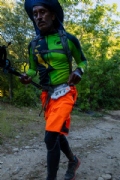W3753880