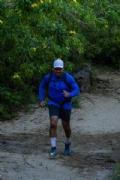 W3754324