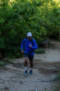 W3754333