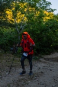Y3753618