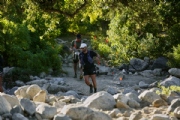 N3752879