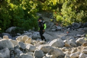 O3752664