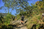 W3752399