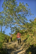 Y3752409