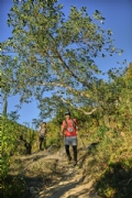 Y3752429