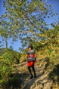Y3752718